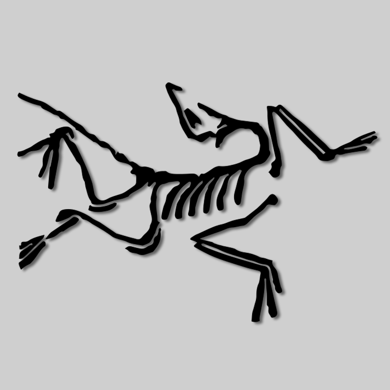 Arc'teryx Archaeopteryx Lithographica Window Sticker/Decal